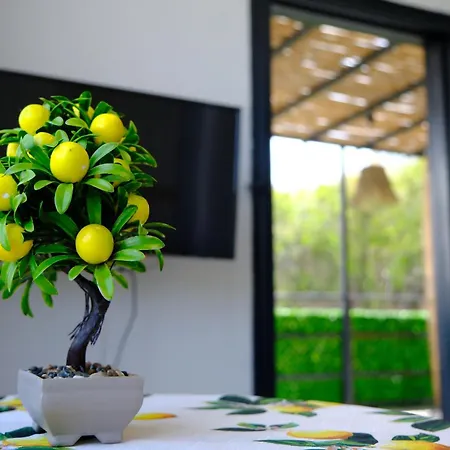 Aysem Mill Hill شقة