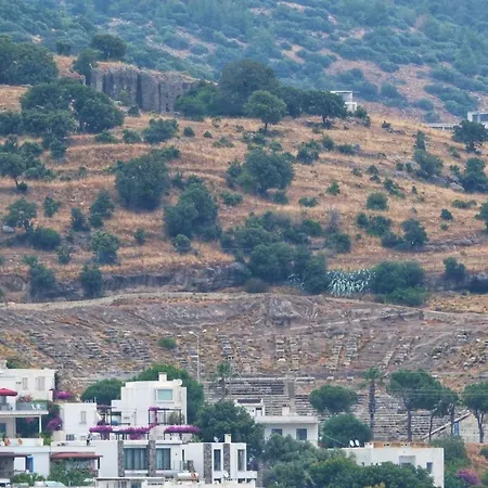 Aysem Mill Hill شقة *