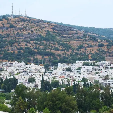 Aysem Mill Hill Διαμέρισμα