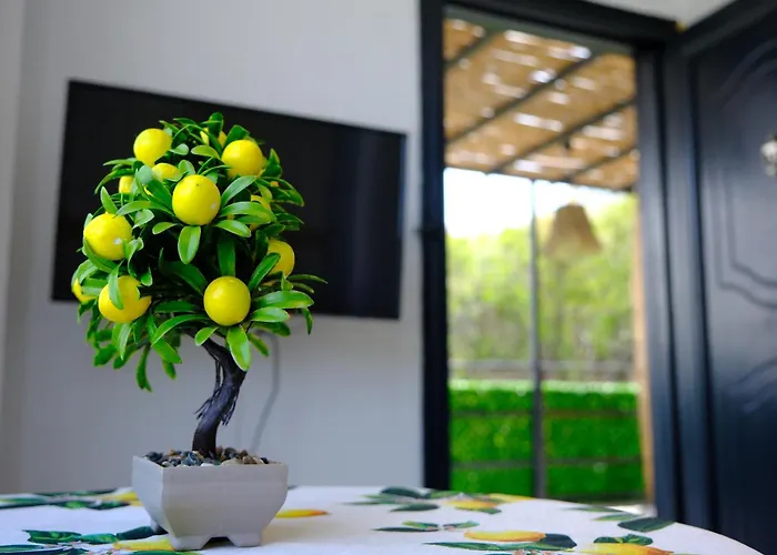 Ayşem Mill Hill Daire