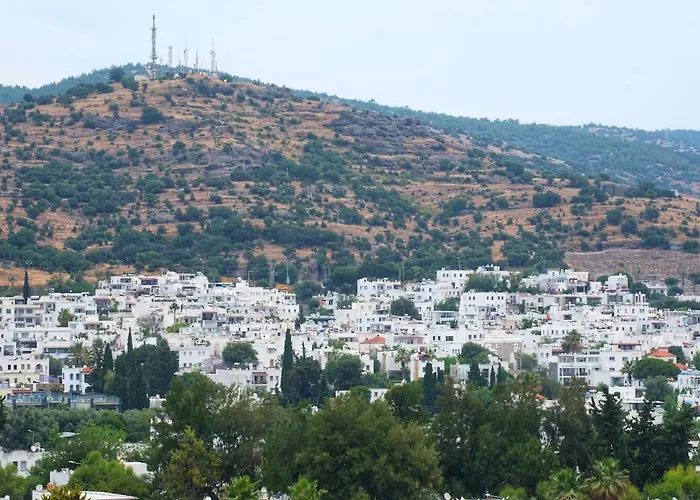 Ayşem Mill Hill Daire