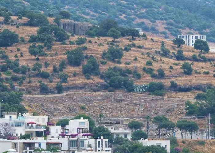 Ayşem Mill Hill Daire *